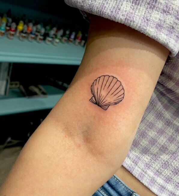 Small fine line tattoo of a shell on the inner arm